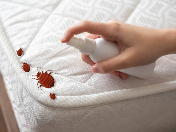 Best Emergency Pest Control  in Mount Holly, NC